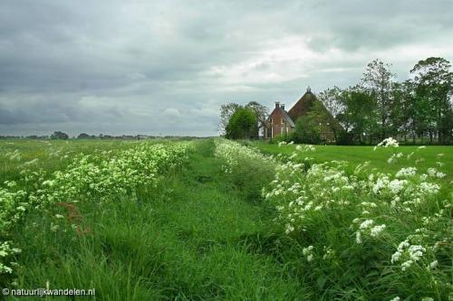 slachtedijk_52