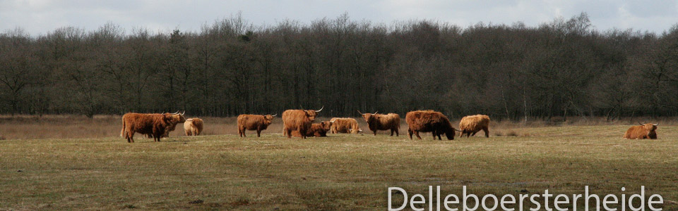 Natuurlijk Wandelen