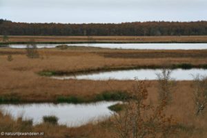 Duurswouderheide