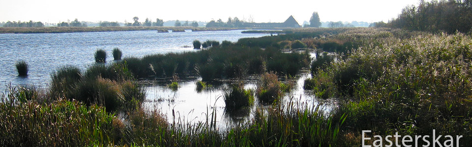 Natuurlijk Wandelen