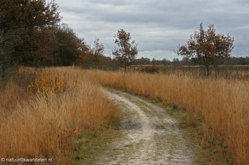 duurwoudsterheide_11