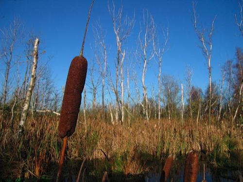 wandelen Easterskar Oosterschar St. Johannesga, Friesland