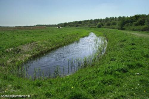 lauwersmeer_01