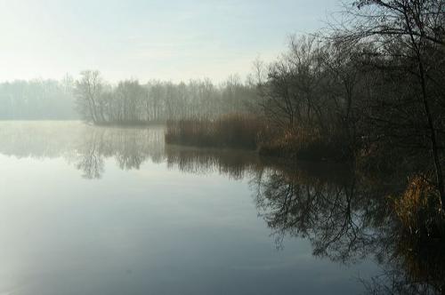 wetering_01