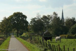 Vegelinbossen Sint Nicolaasga