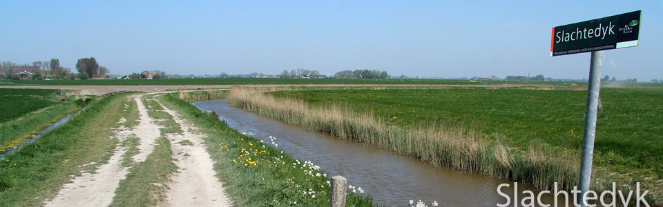 Natuurlijk Wandelen