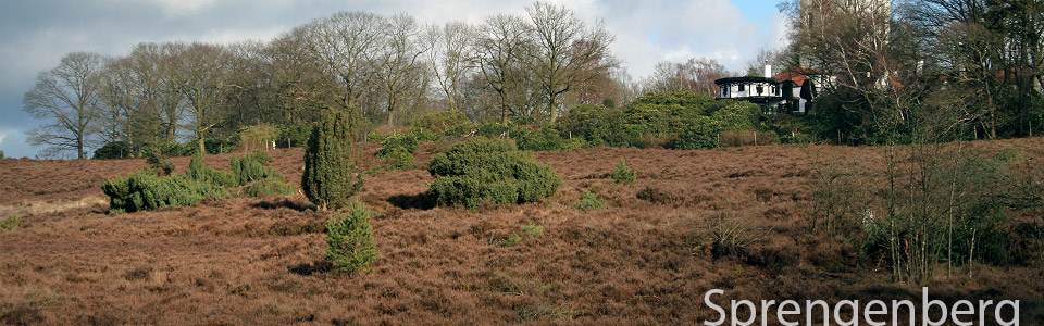 Natuurlijk Wandelen