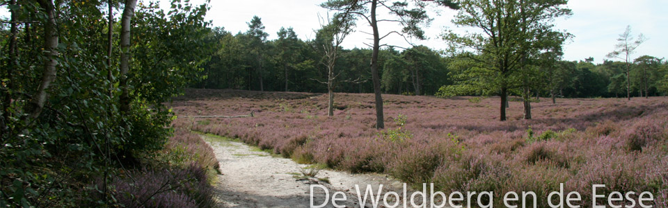 Natuurlijk Wandelen