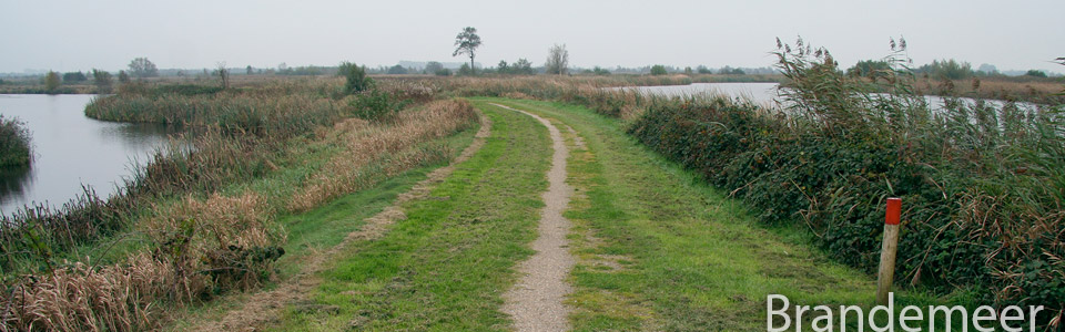 Natuurlijk Wandelen