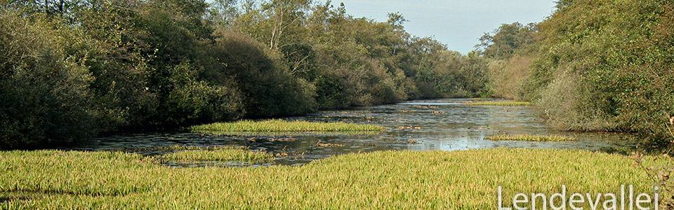 Natuurlijk Wandelen