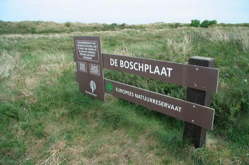 boschplaat_01