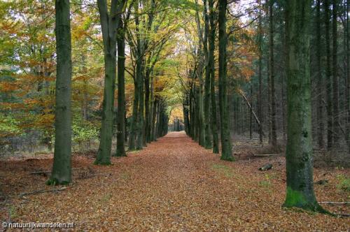 duurwoudsterheide_02