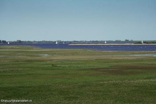 lauwersmeer_14