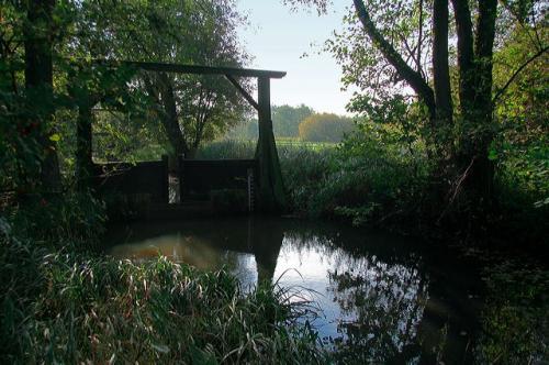 lendepolder_06