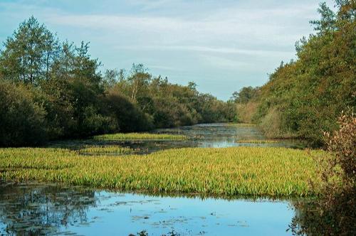 lendepolder_08