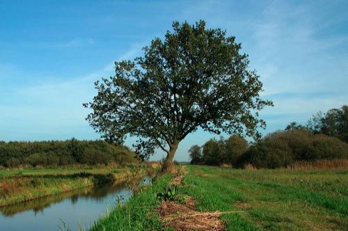 lendepolder_10