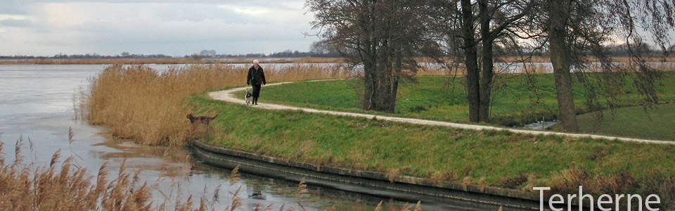 Natuurlijk Wandelen