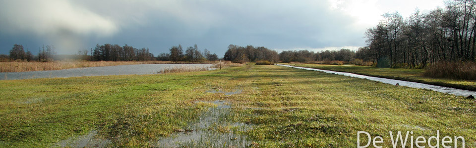 Natuurlijk Wandelen